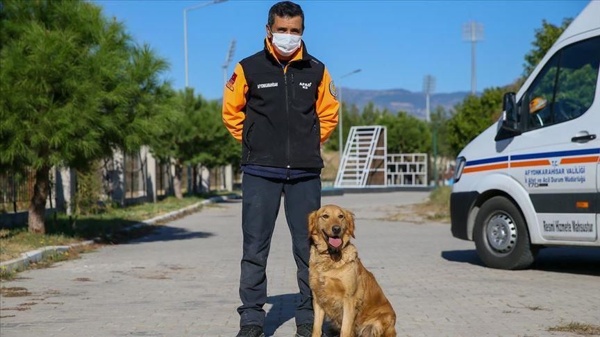 سگ‌های نجات؛ قهرمانان بی‌نام و نشان عملیات امداد و نجات زلزله ازمیر