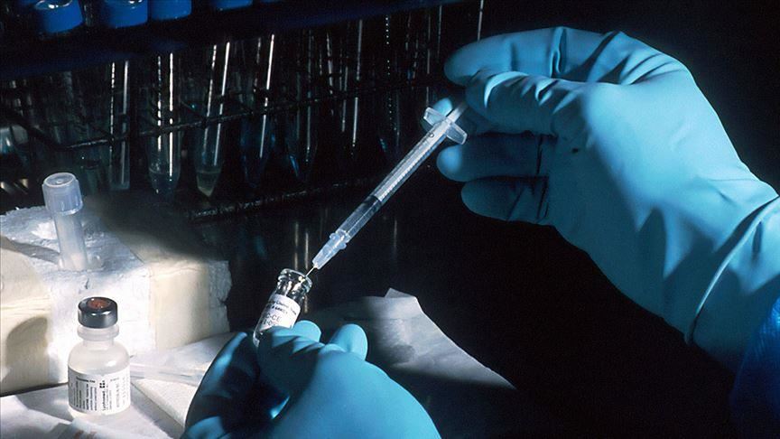 ‘Black and Asian’ under higher COVID-19 risk: Research