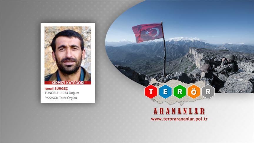 Wanted PKK terrorist 'neutralized' in eastern Turkey