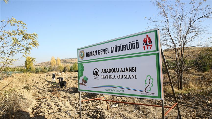Anadolu Ajansı çalışanları 2 bin fidanı toprakla buluşturdu