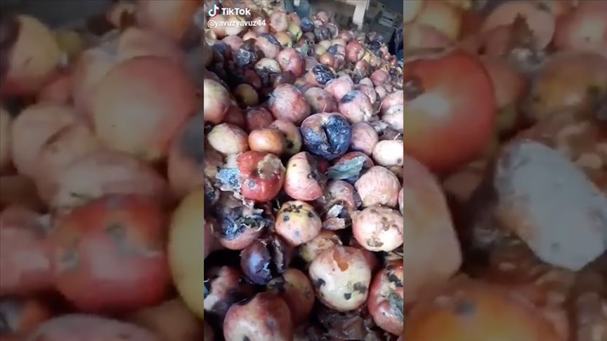 Tarım ve Orman Bakanlığından "çürük elma" videosuna inceleme