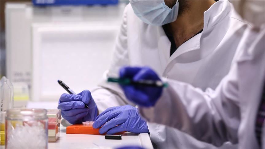 Spanja mund të gjobisë deri në 6 mijë euro personat që hyjnë në vend pa testin PCR