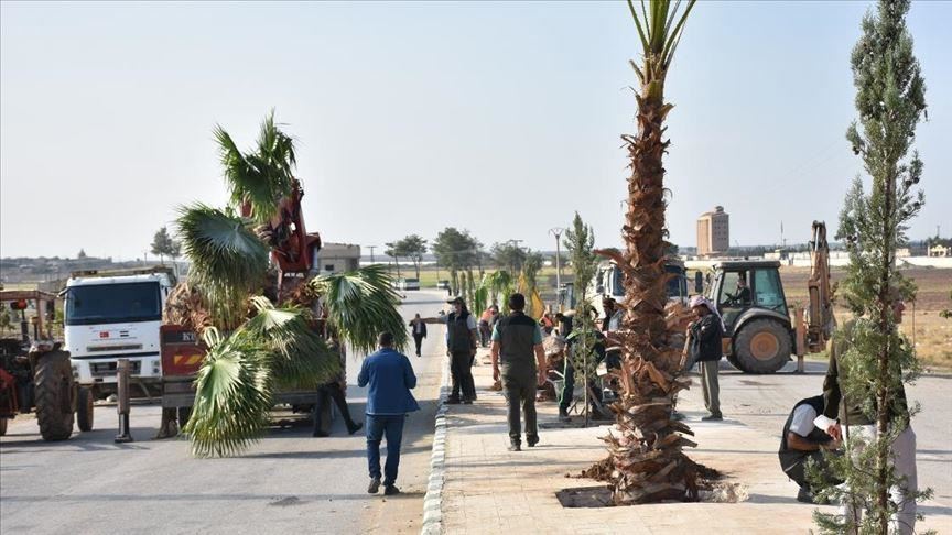 تركيا تزرع 600 شجرة في منطقة "نبع السلام" شمال سوريا