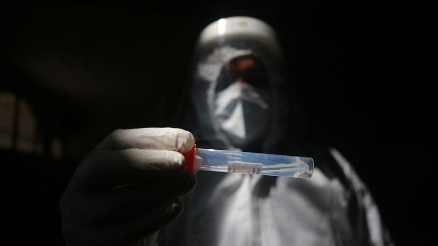 Palestine reports over 1,150 virus cases, 11 deaths