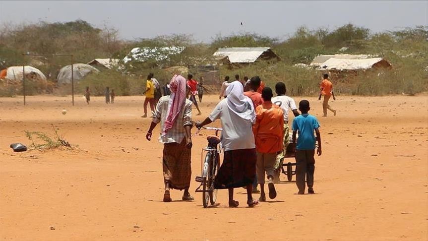 'Full-scale humanitarian crisis unfolding in Ethiopia'