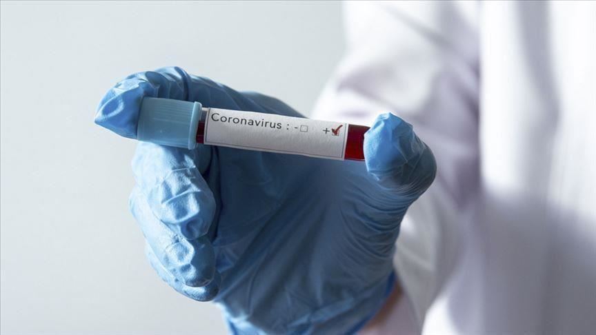 Covid-19: Le Maroc enregistre 5391 cas et l'Algérie affiche un nouveau record de contaminations 