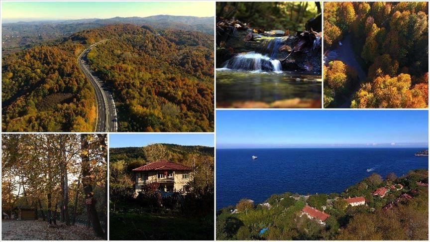 western turkey forests charm visitors with autumn hues