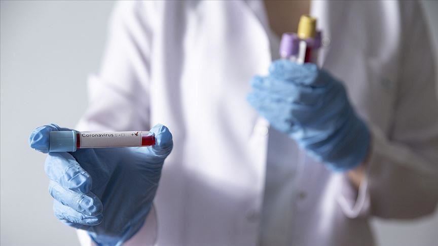 Srbija: Registrovano 4.995 novozaraženih koronavirusom, preminula još 31 osoba 