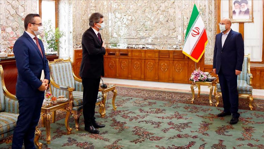 دیدار سفیر ترکیه در تهران با رئیس مجلس ایران