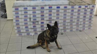 Turkey: 'Over 3M illegal cigarette macarons seized'