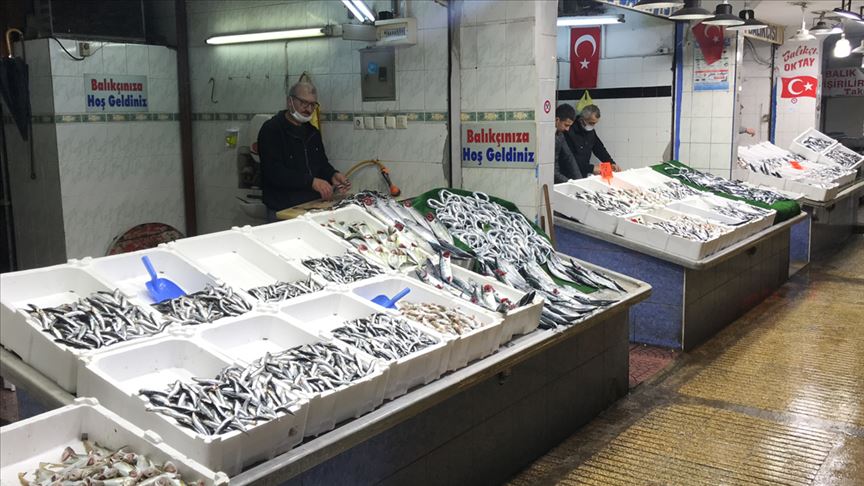 Batı Karadeniz'de balığın azalması fiyatları artırdı