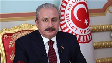 TBMM Başkanı Şentop'tan Edirne'nin kurtuluşunun 98'inci yılı mesajı