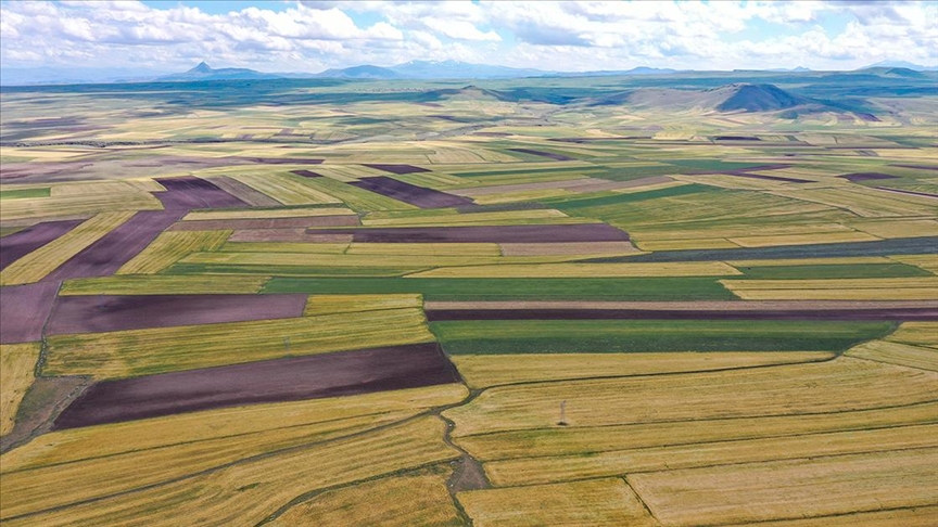 Arsa satışları geçen yıla oranla yüzde 20 arttı