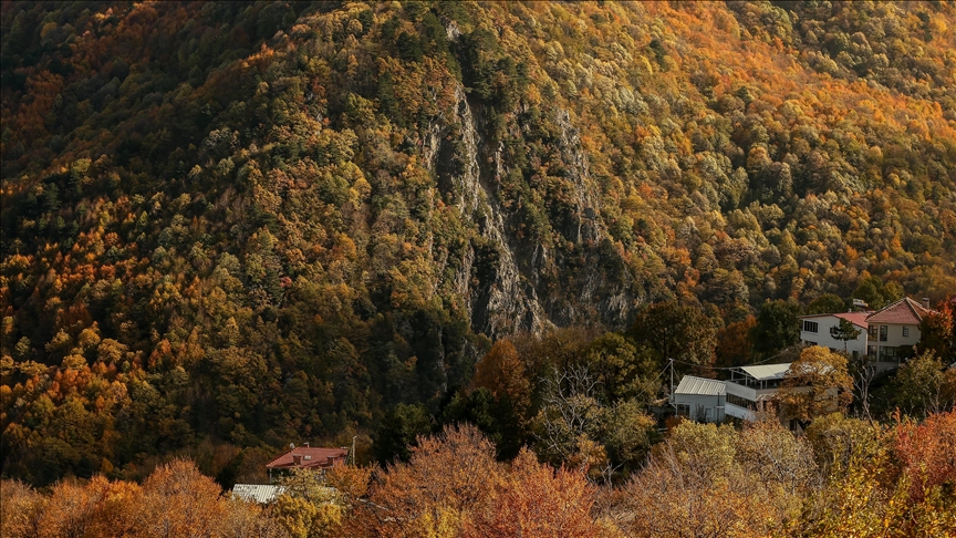 الخريف يضفي جمالاً على "زينيلار" غربي تركيا