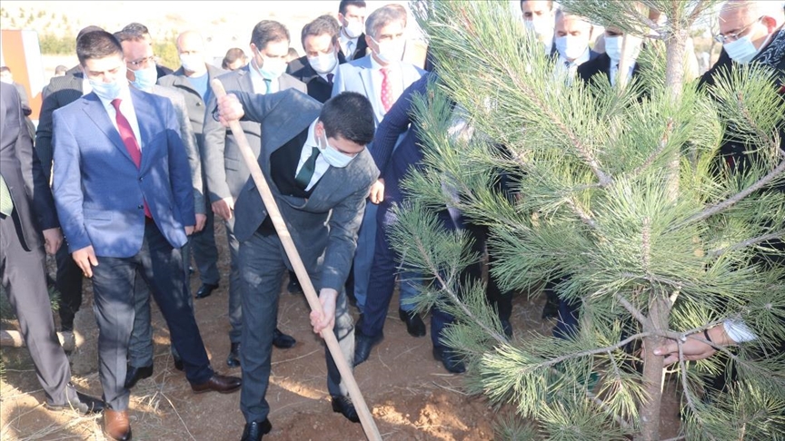 Ülkü Ocaklarından fidan dikim seferberliği