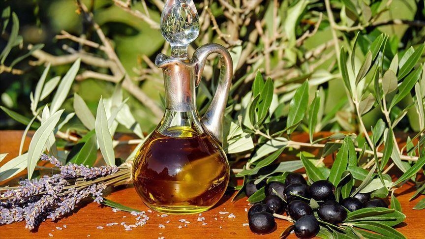 Palestine starts exporting olive oil to Arab countries