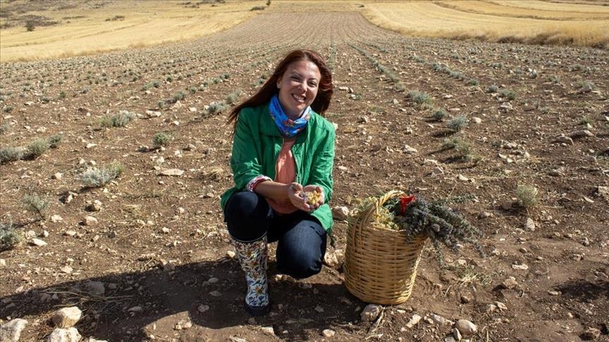 روایت زن ترکیه‌ای از استاد دانشگاهی در آمریکا تا ورود به عرصه گیاه‌پروری در روستای خود