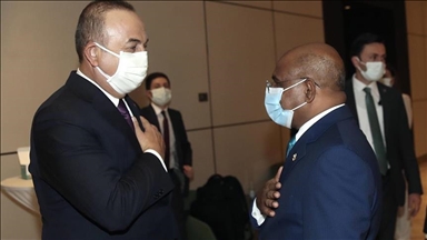 Turkish top diplomat meets counterparts in Niger