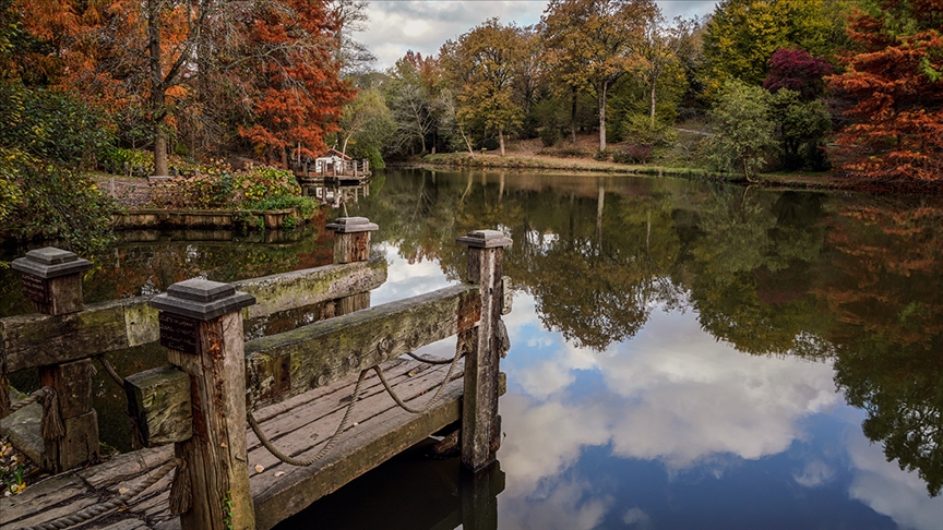"حديقة أتاتورك بلغراد" بإسطنبول.. مناظر فريدة بألوان الخريف