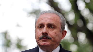 TBMM Başkanı Şentop, İskeçe Müftüsü'ne yapılan saldırıyı kınadı