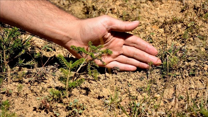 Turkey creates biodiversity map