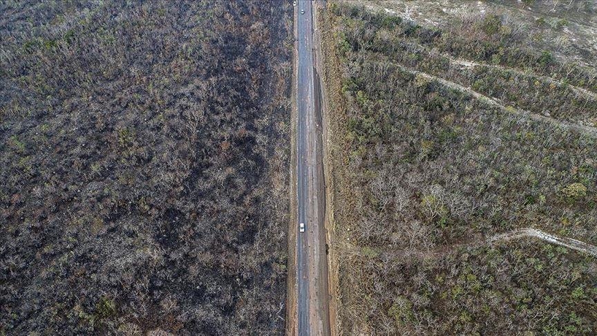 Deforestation In Amazon Rainforest Exceeds 11 000 Km Deforestation In Amazon Rainforest Exceeds 11 000 Km