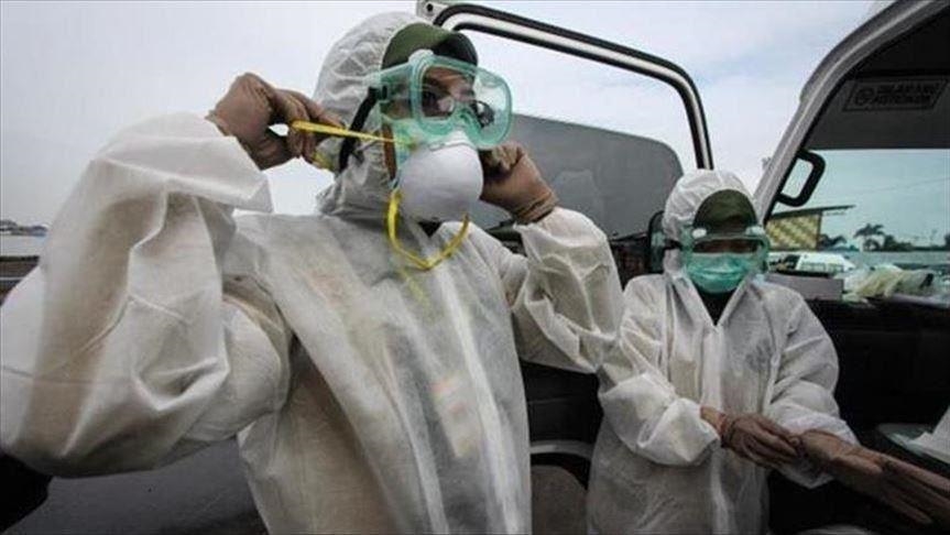 Afrique subsaharienne : le paludisme risque de tuer plus de personnes que le coronavirus, selon l’OMS