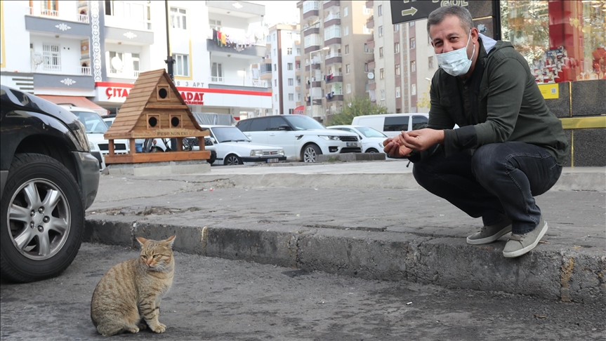 Li Diyarbekirê esnafê heywanan hez dike bi tevgerên xwe va dibe mînak