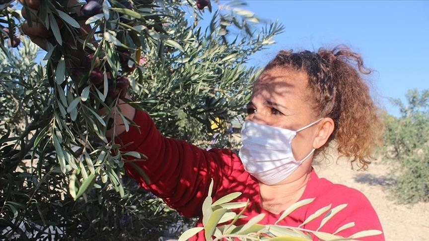 موفقیت‌های یک خانم کارآفرین در استان کیلیس ترکیه