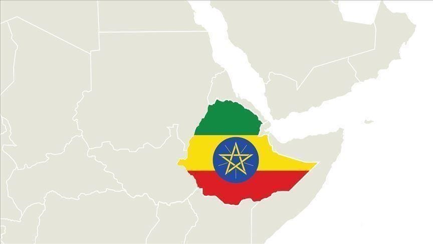 Ethiopia: Ex-Upper House speaker surrenders to gov't