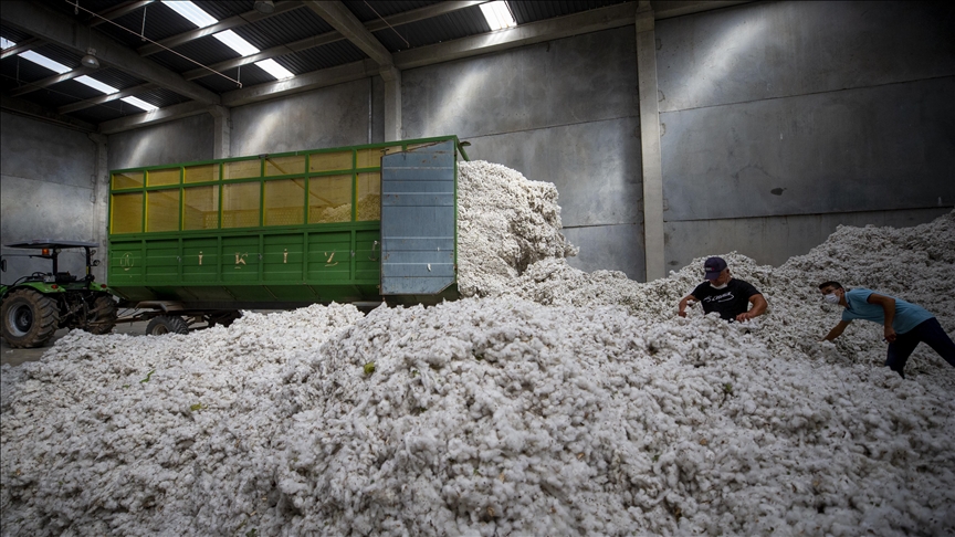 EEUU prohíbe la importación de algodón de China por violar DDHH de minoría étnica uigur 