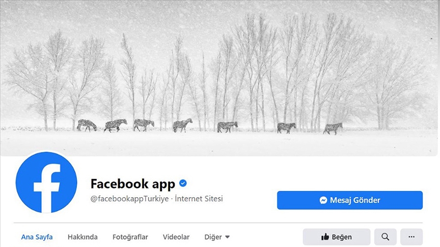 Facebook Türkiye Hürmetçi'nin yılkı atlarını kapak fotoğrafı yaptı 