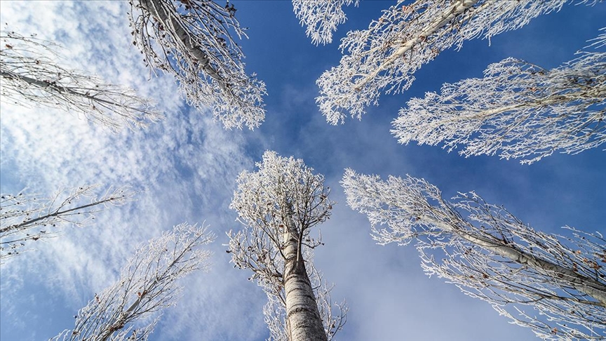 Doğu'da buzlanma ve don olayı bekleniyor