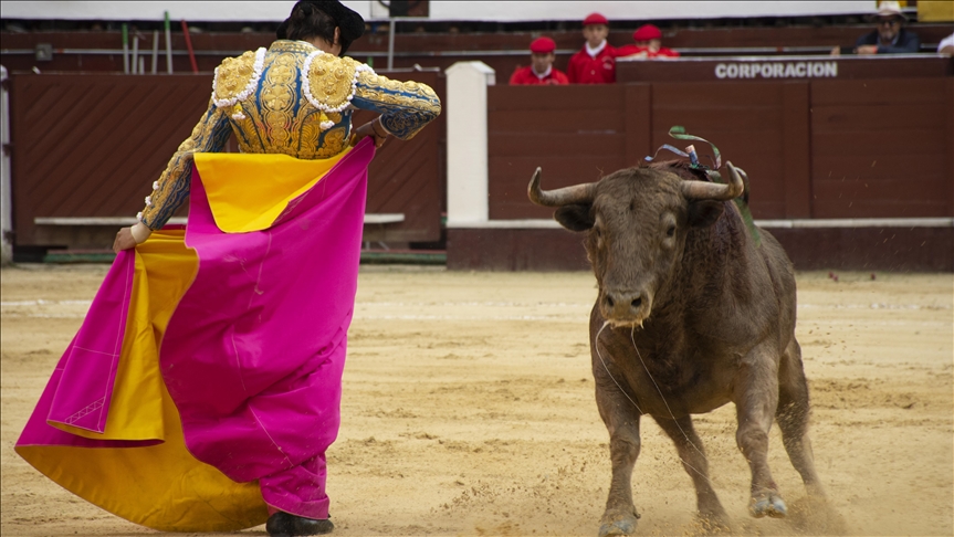 Inicia el primer debate legislativo sobre un proyecto que busca invalidar las corridas de toros en Colombia