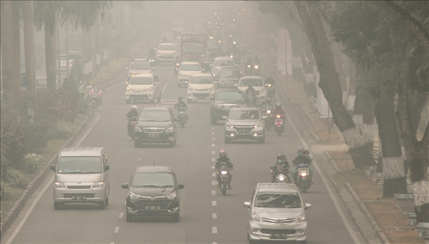 ONU: se estima que las emisiones de dióxido de carbono caerán un 7% en 2020 debido a la pandemia