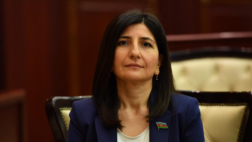 'Turkey always with Azerbaijan in sad, joyful days'