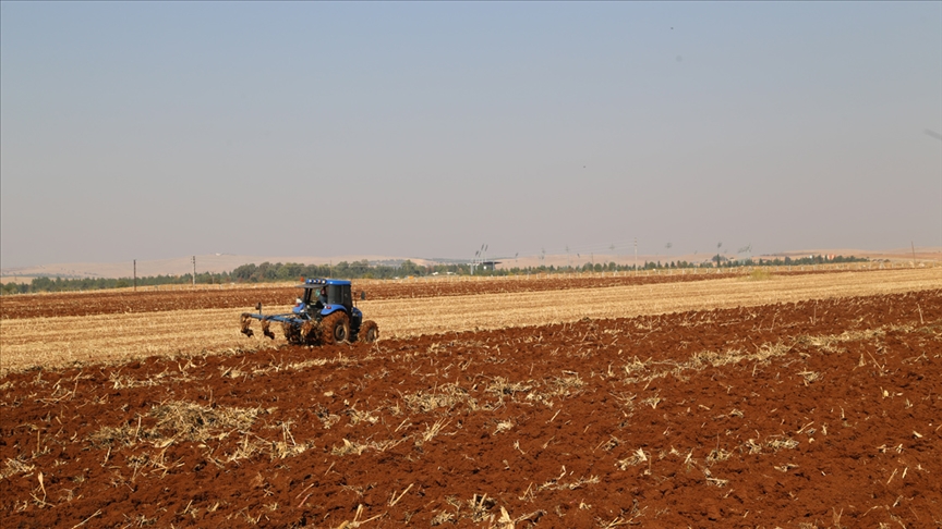 prof dr osman sonmez bazi ciftciler