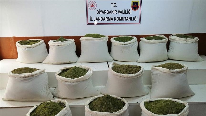 Over 1 ton of marijuana seized in southeastern Turkey