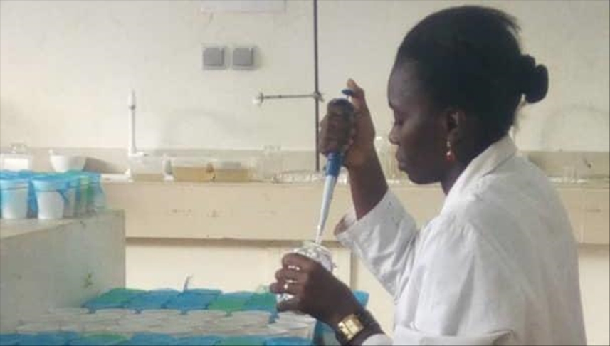 Cameroonian invents atypical larvicide to fight malaria
