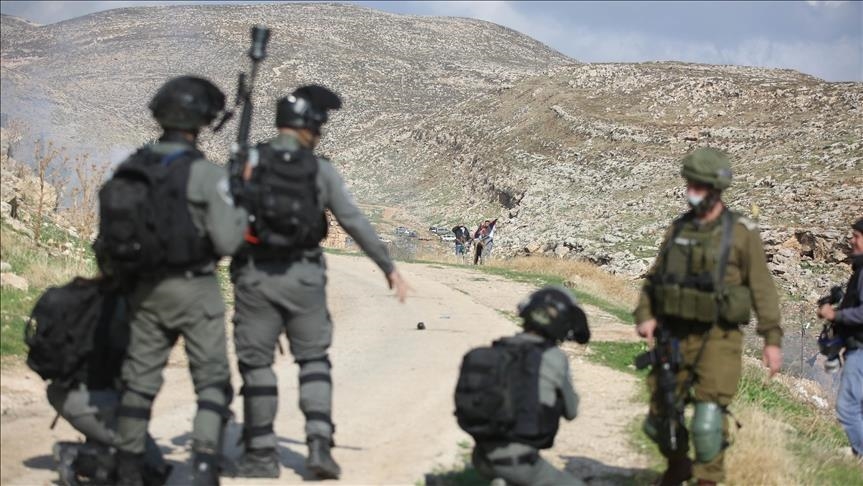 Israel detains 17, uproots olive trees in West Bank