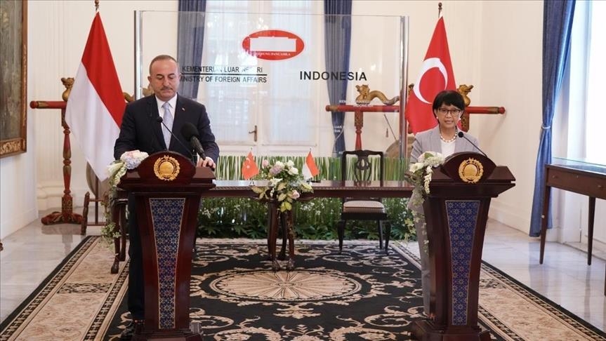 'Turkey, Indonesia should unite against Islamophobia'