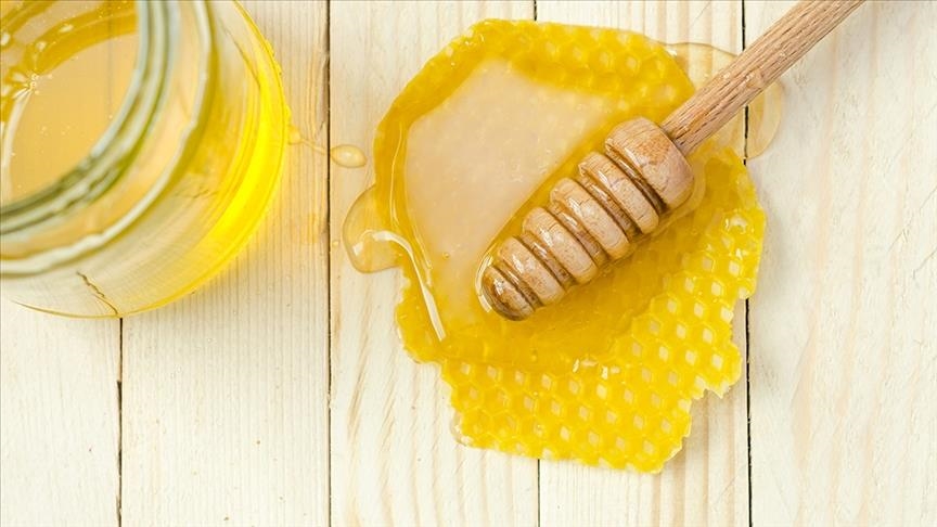В Турции в 2020 году произведено 110 тыс. тонн меда
