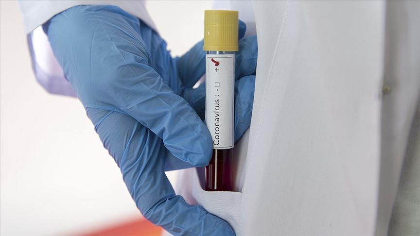 COVID-19 update in Arab countries