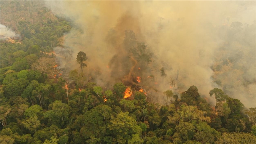 Pueblos indígenas declaran una emergencia climática en la Amazonía 