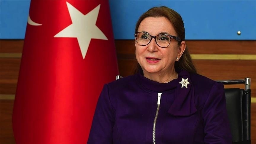Turkey's exports exceed 2020 target: Minister