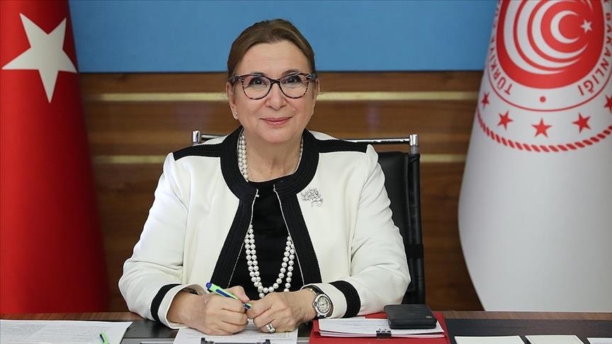 Accord de libre-échange Turquie/Royaume-Uni, un pacte gagnant-gagnant