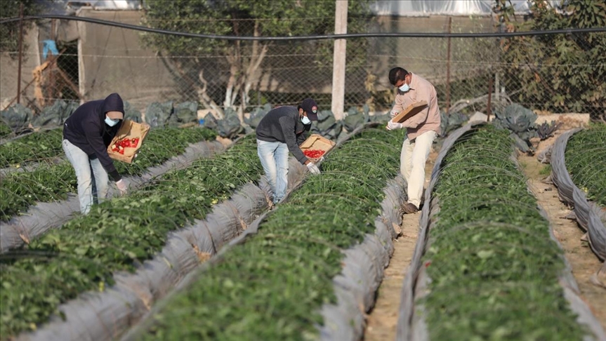 El Congreso De Perú Aprobó Una Nueva Ley Agraria