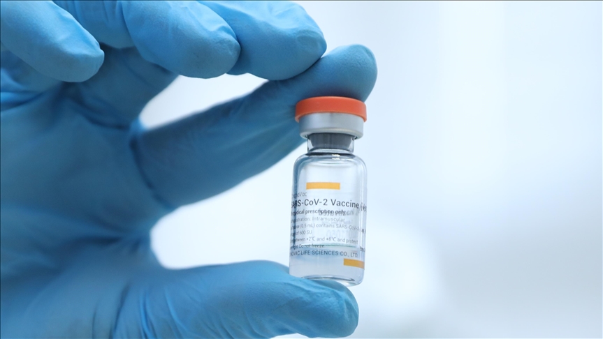 Turkey: 3 inactive vaccines ready for human testing