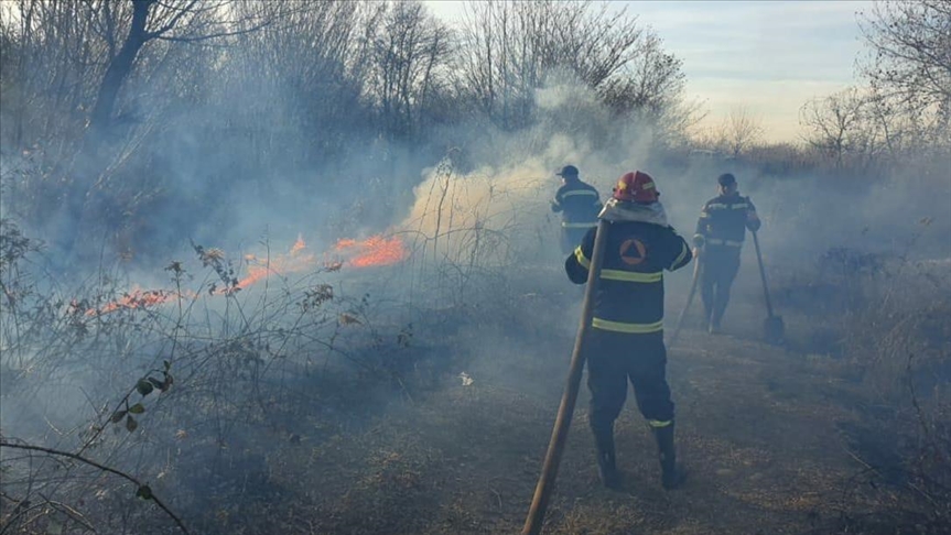 В Грузии за сутки зафиксировано 234 лесных пожара