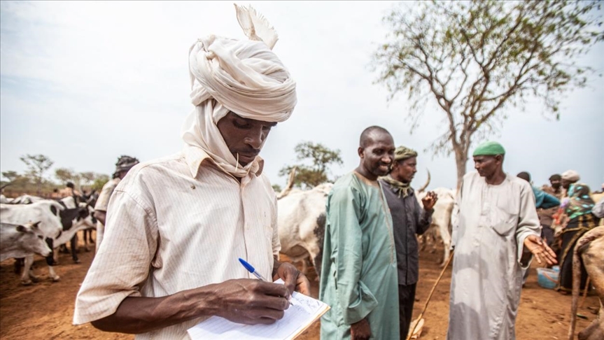 Varios candidatos piden repetir las elecciones presidenciales en la